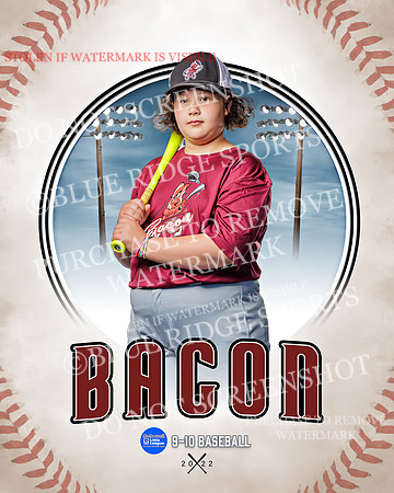 BACON 017 of 33
