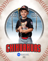 CHIHUAUAS 026 of 33