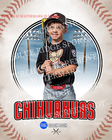 CHIHUAUAS 026 of 33