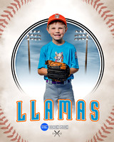 LLAMAS 011 of 42