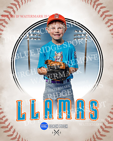 LLAMAS 011 of 42