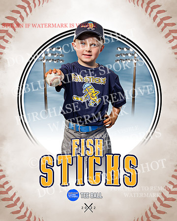 FISH STICKS 021 of 46