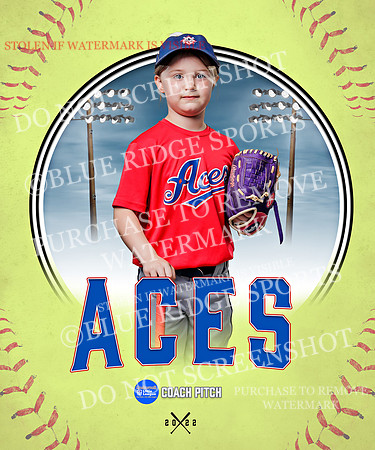 ACES 011 of 34