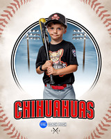 CHIHUAUAS 027 of 33