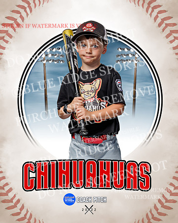 CHIHUAUAS 027 of 33