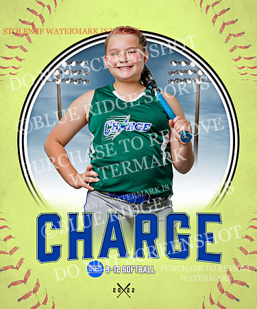 CHARGE 027 of 52