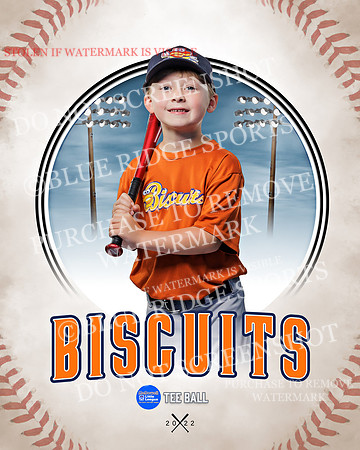 BISCUITS 035 of 45