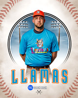 LLAMAS 023 of 42