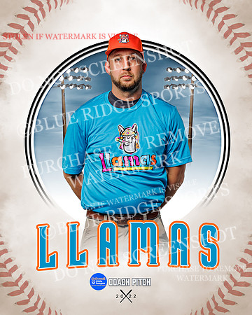 LLAMAS 023 of 42