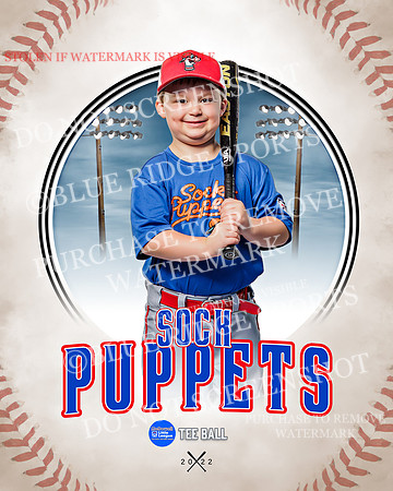 SOCK PUPPETS 019 of 45