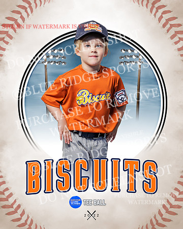 BISCUITS 016 of 45