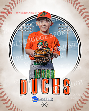 woodducks 020 of 41