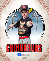 CHIHUAUAS 003 of 33