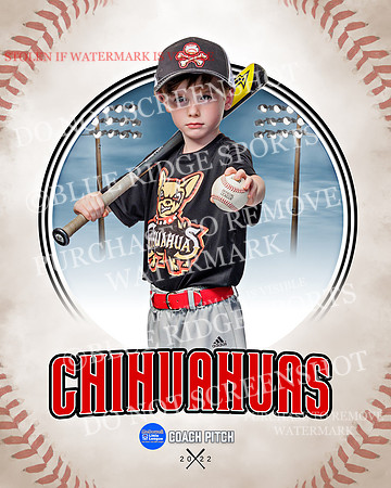 CHIHUAUAS 003 of 33