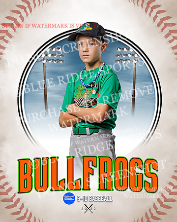 BULLFROGS 012 of 38