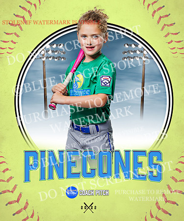 PINECONES 007 of 41