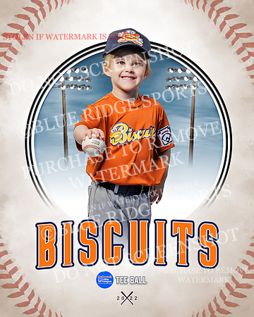 BISCUITS 017 of 45