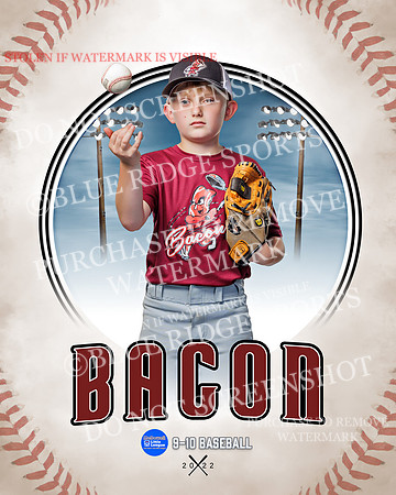 BACON 003 of 33