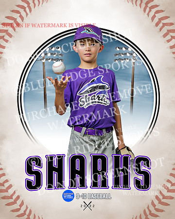 SHARKS 027 of 28