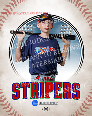 STRIPERS 012 of 24