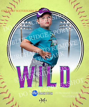 WILD 022 of 43