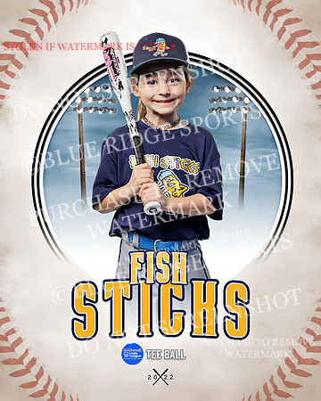 FISH STICKS 040 of 46