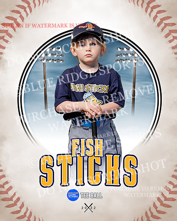 FISH STICKS 009 of 46