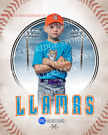 LLAMAS 032 of 42