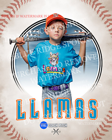 LLAMAS 039 of 42