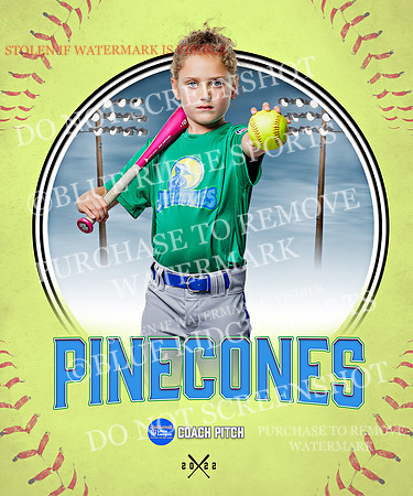 PINECONES 008 of 41