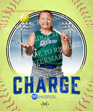 CHARGE 019 of 52