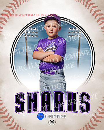 SHARKS 007 of 28