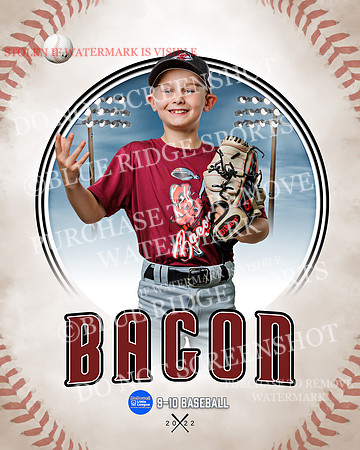 BACON 030 of 33