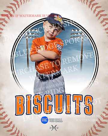 BISCUITS 030 of 45