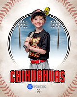CHIHUAUAS 002 of 33