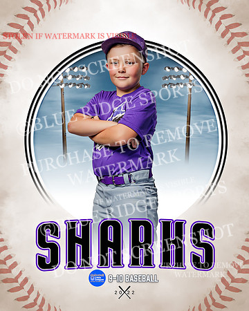 SHARKS 008 of 28