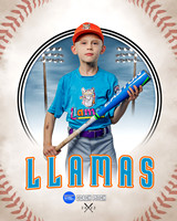 LLAMAS 006 of 42