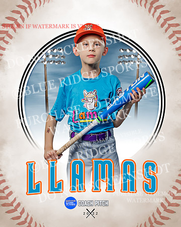 LLAMAS 006 of 42
