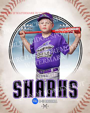 SHARKS 006 of 28