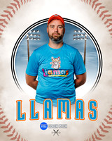 LLAMAS 015 of 42