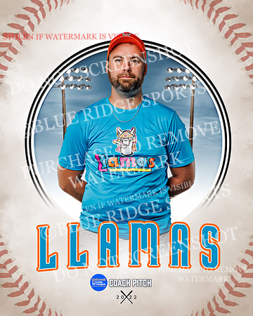 LLAMAS 015 of 42