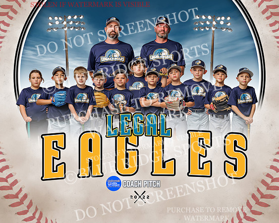 legal.eagles.team
