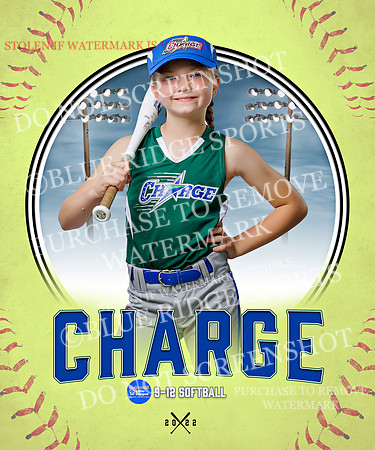CHARGE 005 of 52