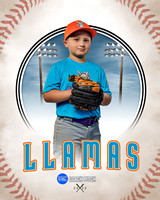 LLAMAS 021 of 42