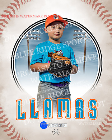 LLAMAS 021 of 42