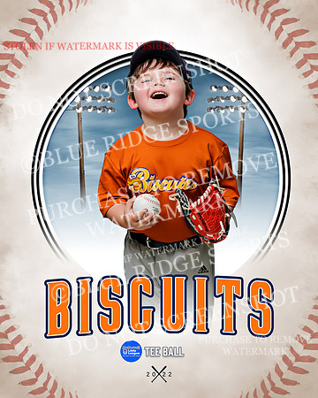 BISCUITS 044 of 45