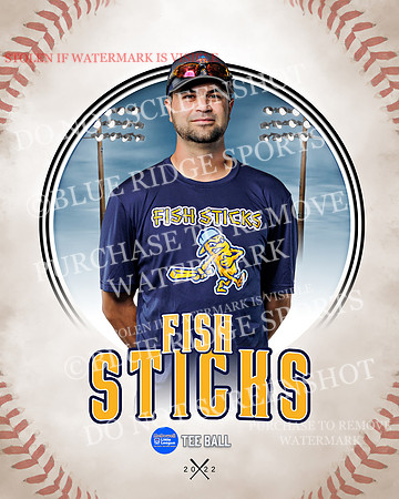 FISH STICKS 015 of 46