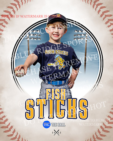 FISH STICKS 003 of 46