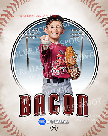 BACON 008 of 33