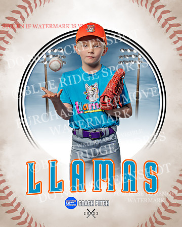 LLAMAS 029 of 42